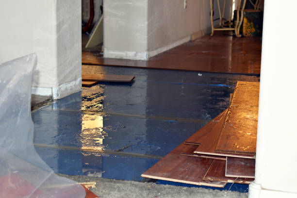 Professional Emergency Water Damage Restoration technician working in Meadow, TX