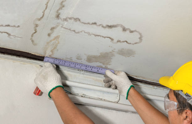 Reliable Emergency Water Damage Restoration contractor in Meadow, TX by Water Damage Irwin